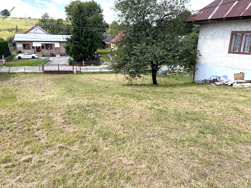 07.jpg