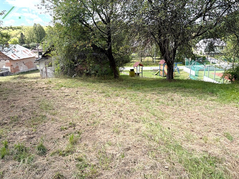 05.jpg